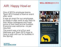 Howler spotlight