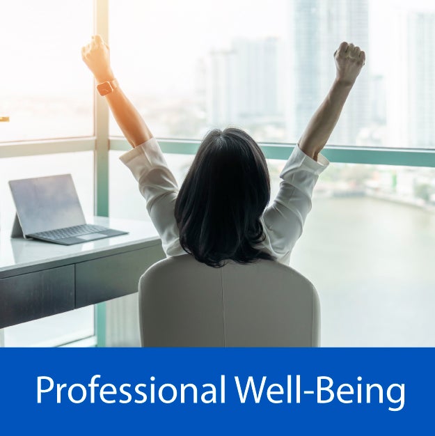 professional well being