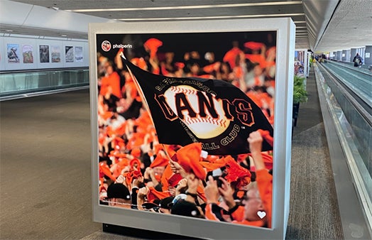 Giants photo T3