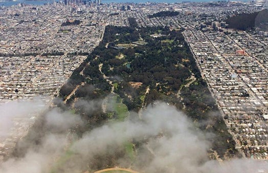 Golden Gate Park