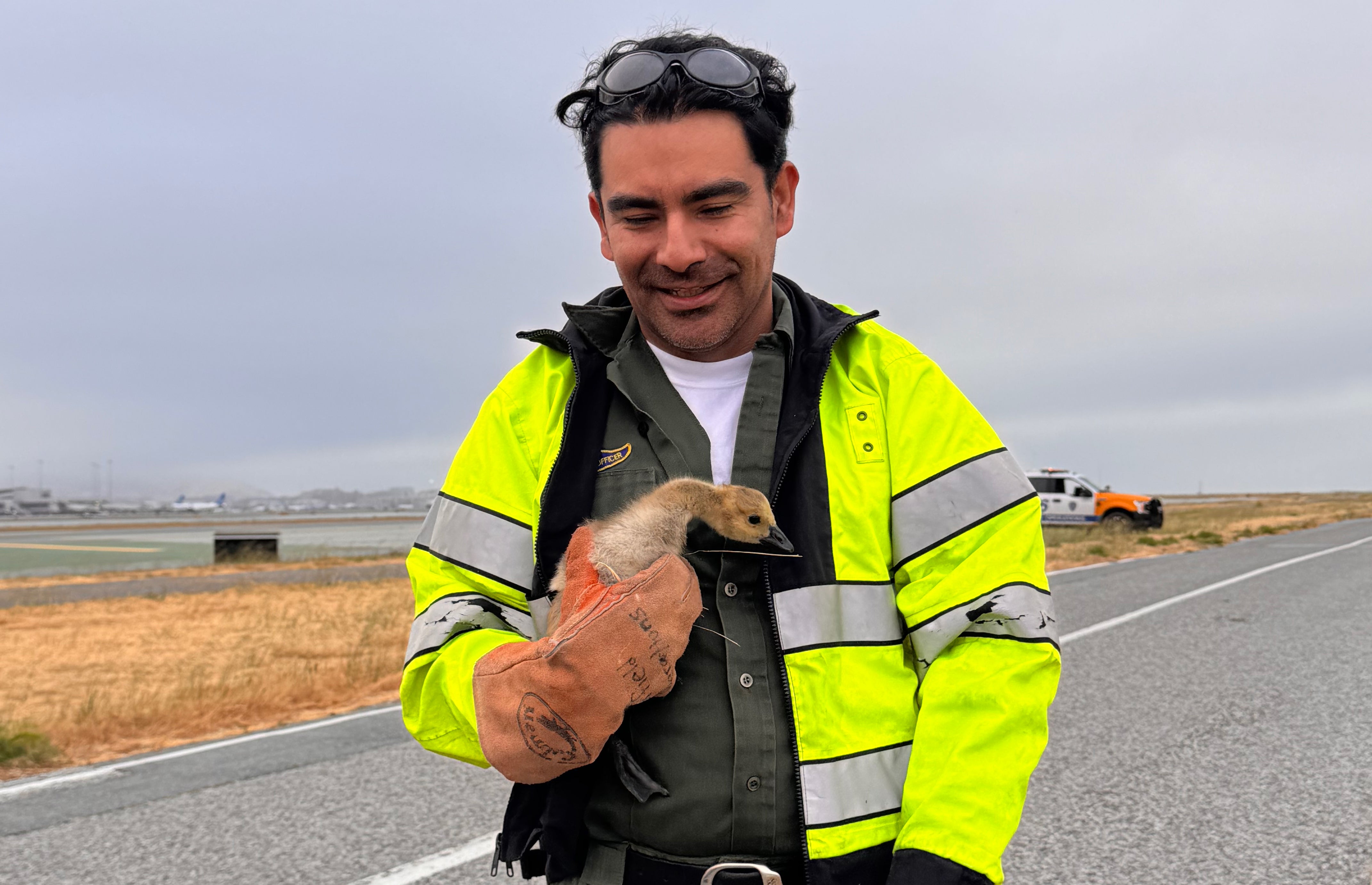 aso gosling